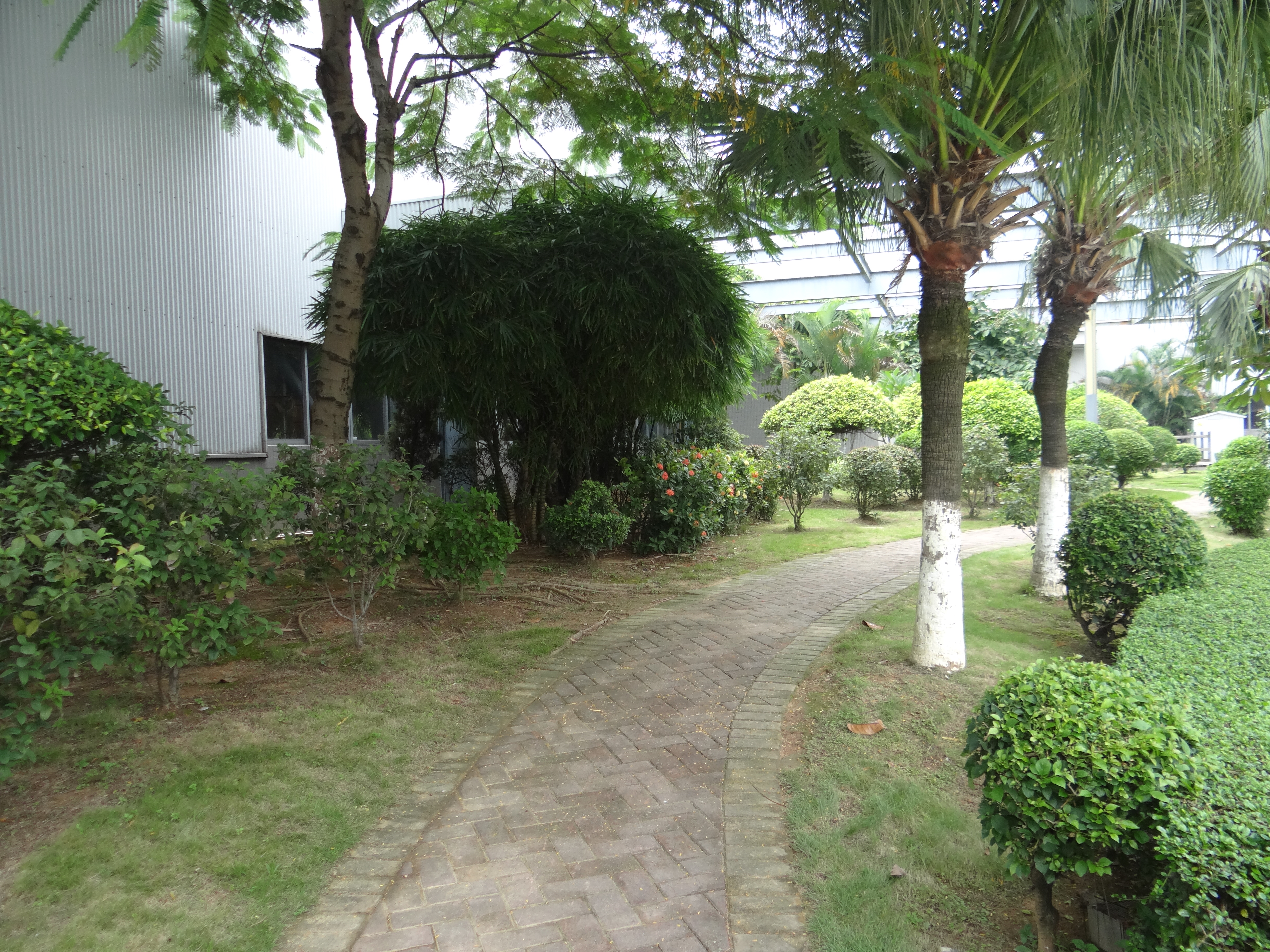 華南順昌分公司一角